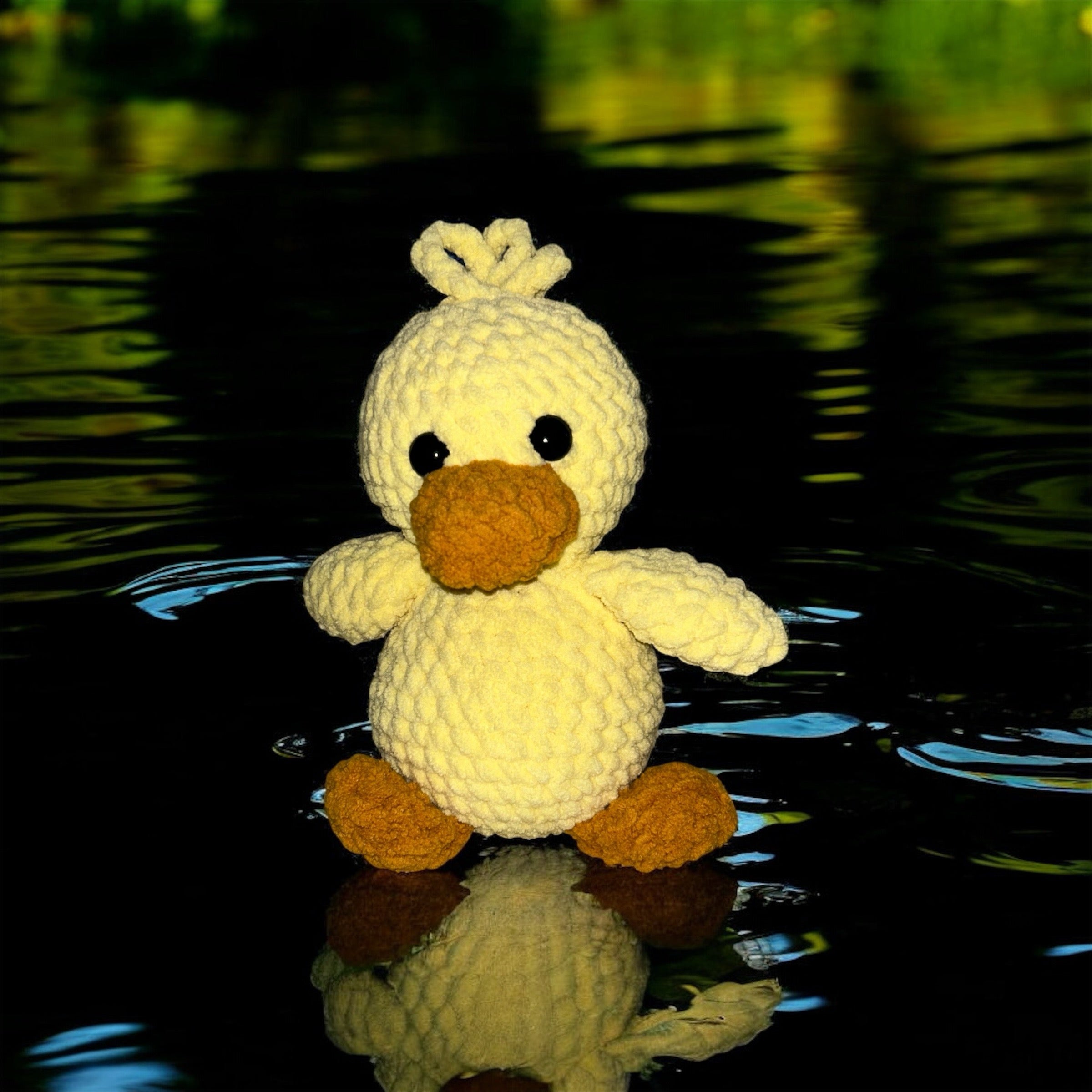 Duck